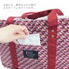 AT FIRST AF6319 Cash Cage Cooler Bag Shopping Bag Eco