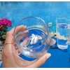 HeguSun Drinking Glass With Figurine Inside, Handmade Murano Glass Figures