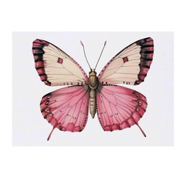'Pink Butterfly' Temporary Tattoo - Water Resistant, Skin-Safe, Non-Toxic Transfer (TO00077115)
