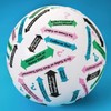 Toss ‘n Talk-About® This or That Ball