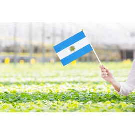 50 Pack France French Flags on Stick Flags,Small Mini Hand Held France French Flags 5.5x8.3 Inch, Grand Opening, Carnival,Party Events Celebration