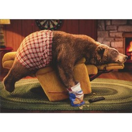 Avanti Press Bear Asleep on Recliner with Paw in Bag of Chips Funny/Humorous Masculine Birthday Card
