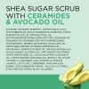 Dr Teal's Shea Sugar Body Scrub Pack Of 3 Avocado