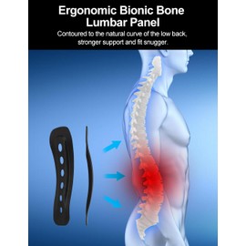 Cilnos Back Support Belt for Men and Women, Breathable Back Brace for Lower Back, Ergonomically Designed Lumbar Support for Injuries, Herniated Disc, Sciatica and Sports