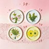 DBEFTLI 4-Piece Botanical Wax Seal Stamp Set – Interchangeable Solid
