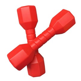 Kisbeibi 2pcs/set Children Dumbbells Fitness Equipment Kindergarten Fun Gift Kids Arm Hand Weights Pilates Dumbbells,Home Gym Exercise Barbell,Fitness Dumbbell Set for Core Strength Training (Red)