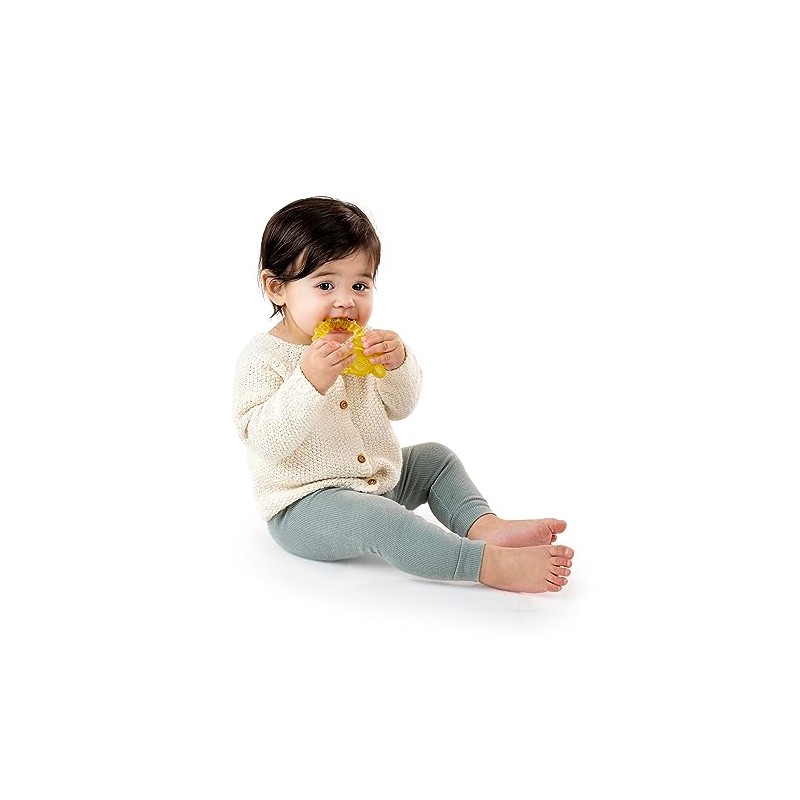 Ingenuity Mordedor de Agua para Bebés de Figura de Abeja