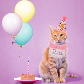 ADOGGYGO Cat Birthday Party Supplies, Girl Cat Kitten Birthday Bandana Cat Birthday Hat with Numbers Pet Birthday Decorations Outfits for Cat Kitten (Pink)