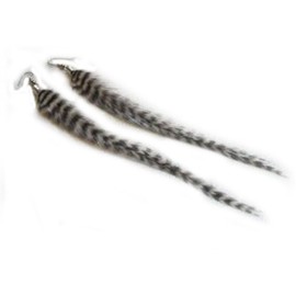 6 Stripped Grizzly Feather Earrings Made with Genuine Grizzly Rooster Feathers Each