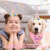 Dog Birthday Party Supplies Pink Dog Birthday Hat with Numbers