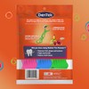 Dentek Kids Fun Flossers with Advanced Fluoride Coating | Removes