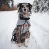 Wilderdog Fleece Dog Jacket with Neoprene Neck Gaiter - Large