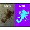 Bright Eyes 2-Pack - Best Black Light - Top UV