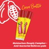 Carmex Cherry Lip Balm Sticks (2-Pack) | Intense Moisturising Summer