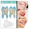 Temporary Crown for Front and Rear Teeth Resin Temporary Crown