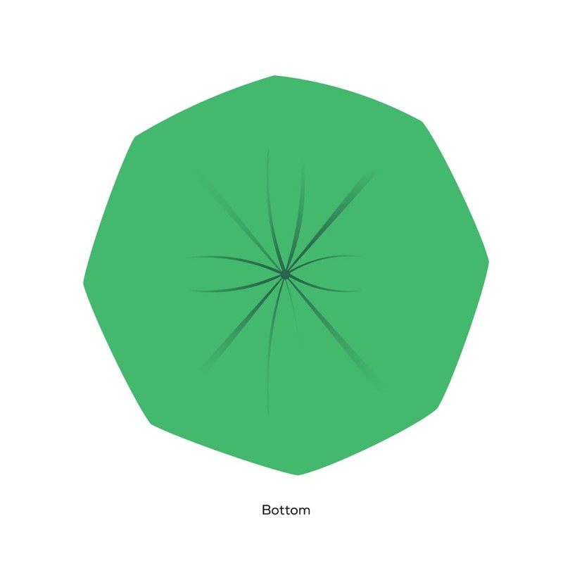 44 Gallon BioBag The Original Compostable Food Scrap Commercial Gallon