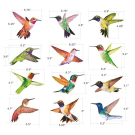 Anti-Collision Window Clings Bird Alert Collision Decals to Prevent Bird Strikes on Window Glass - Set of 12 Hummingbirds
