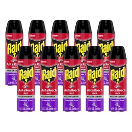Raid Ant & Roach Killer Lavender 17.5 Ounce (Pack of 10)