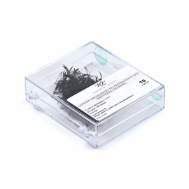 WL Wonder Lashes Ready-to-Use Eyelash Fans 10-in-1 for Professional 0.1 or 0.07 Pack of 300 B or C Curl, Natural or Cat Eye Effect, False Premium Volume Eyelashes (B Curl 0.07, 15 mm)