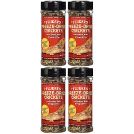 FREEZE DRIED CRICKETS