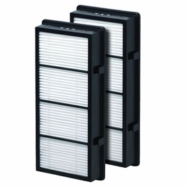 Filter-Monster Replacement Compatible with Holmes AER1 HAPF300/HAPF30 (D Filter) and Bionaire BAP536/BAP516, 2 Pack
