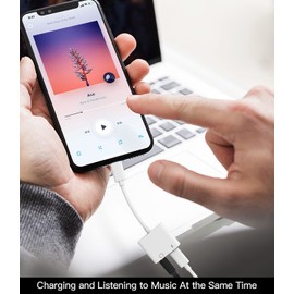 019-IP-3.5+L Jack Adapter