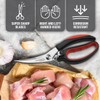 Gourmet Kitchen Stainless Steel Heavy Duty Multi Purpose Kitchen Scissors