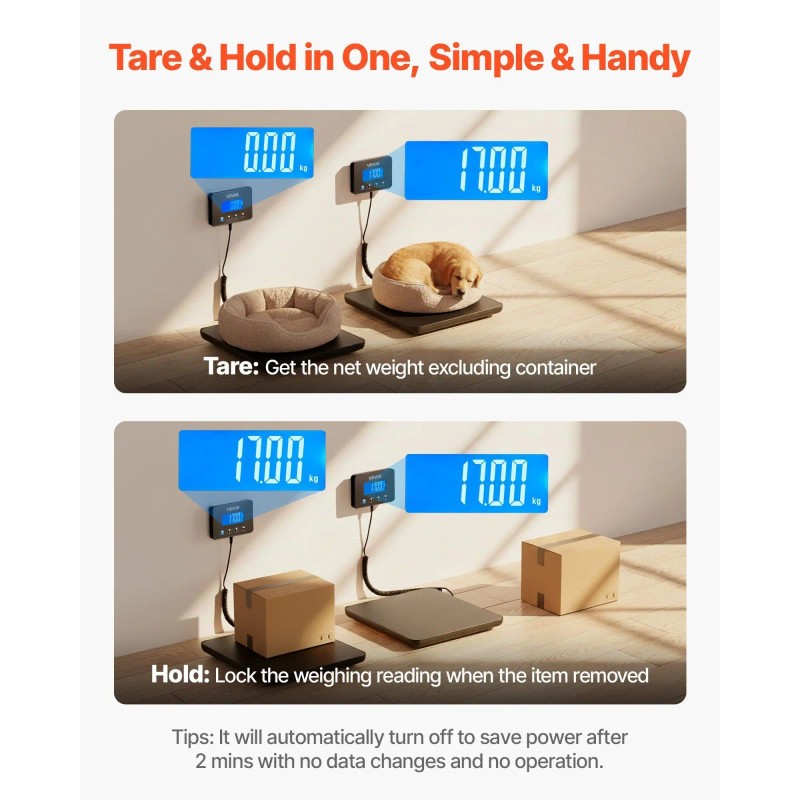 Dual Accuracy Postal Scale 200 Kg Lcd Display Hold Function
