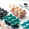 HEALEEP 6 Cups Ceramic Egg Holder for Fridge: Egg Tray