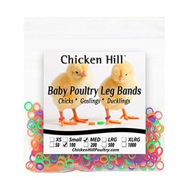 Baby Poultry Leg Bands 1/4" Medium Chick (100)