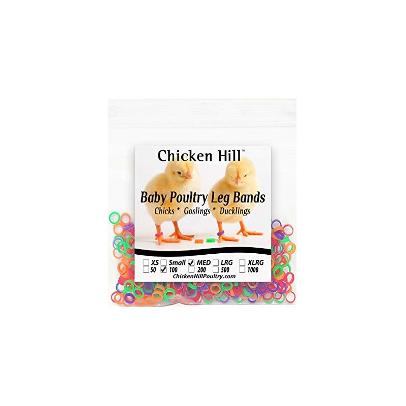 Baby Poultry Leg Bands 1/4" Medium Chick (100)