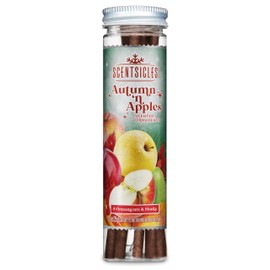 Scentsicles Autumn n Apples Scented Ornament Sticks - 1 Pack (6 Sticks Total)
