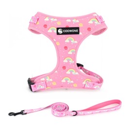 COOWONE Dog Harness Small Dogs, Adjustable Dog Harness for Small and Medium Dogs and Cats, Breathable Soft Mesh Harness with Lead for Walks, Training