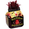 Wild Hibiscus Flowers in Syrup 250g