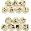 7 Pcs Wooden Baby Milestone Cards Baby Months Signs, Double