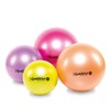 Pezziball Maxafe Exercise Ball 42, 53, 65, 75 cm All