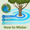 TPS NUTRIENTS Dracaena Fertilizer for All Dracaena Plants and Trees,