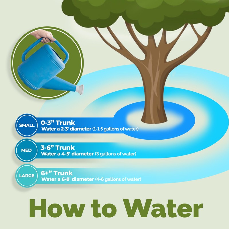 TPS NUTRIENTS Dracaena Fertilizer for All Dracaena Plants and Trees,