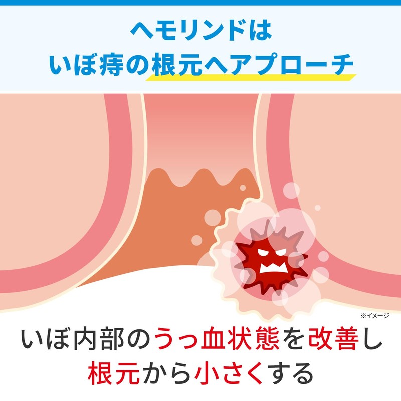 【第2類医薬品】ヘモリンド舌下錠 40錠