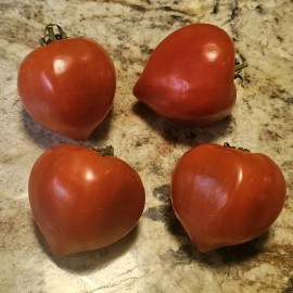 Hungarian Heart Tomato Seeds (30) / Heirloom / Organic / Florida Grown