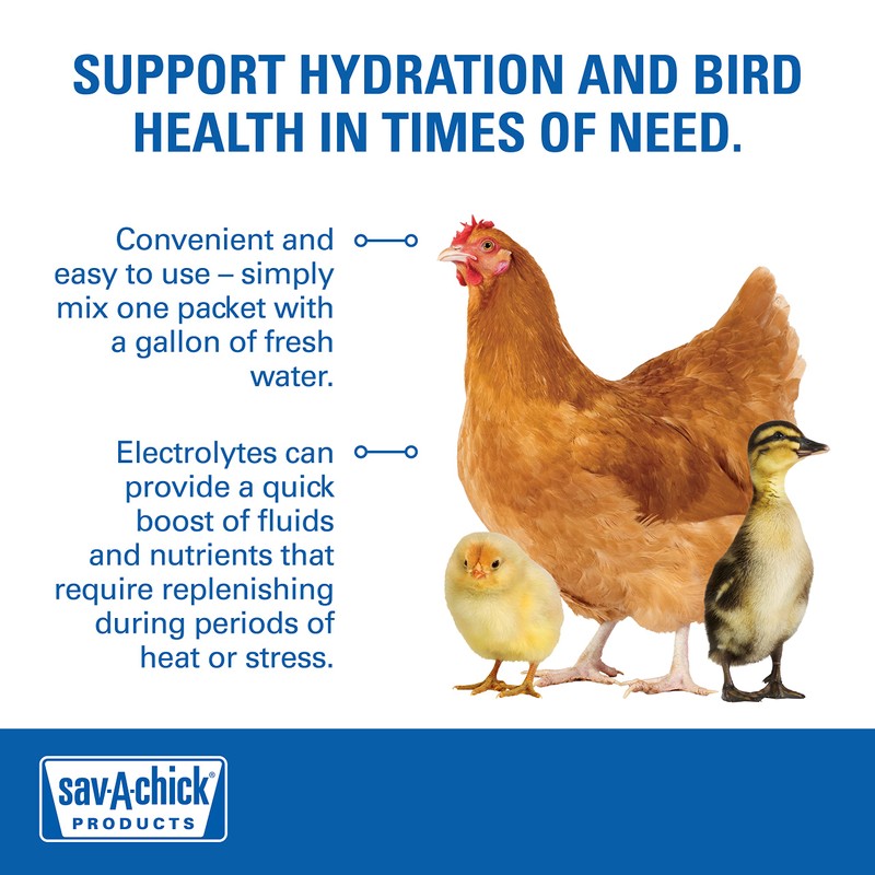 Sav-A-Chick Electrolyte & Vitamin Supplement (3-0.2 oz Packets)