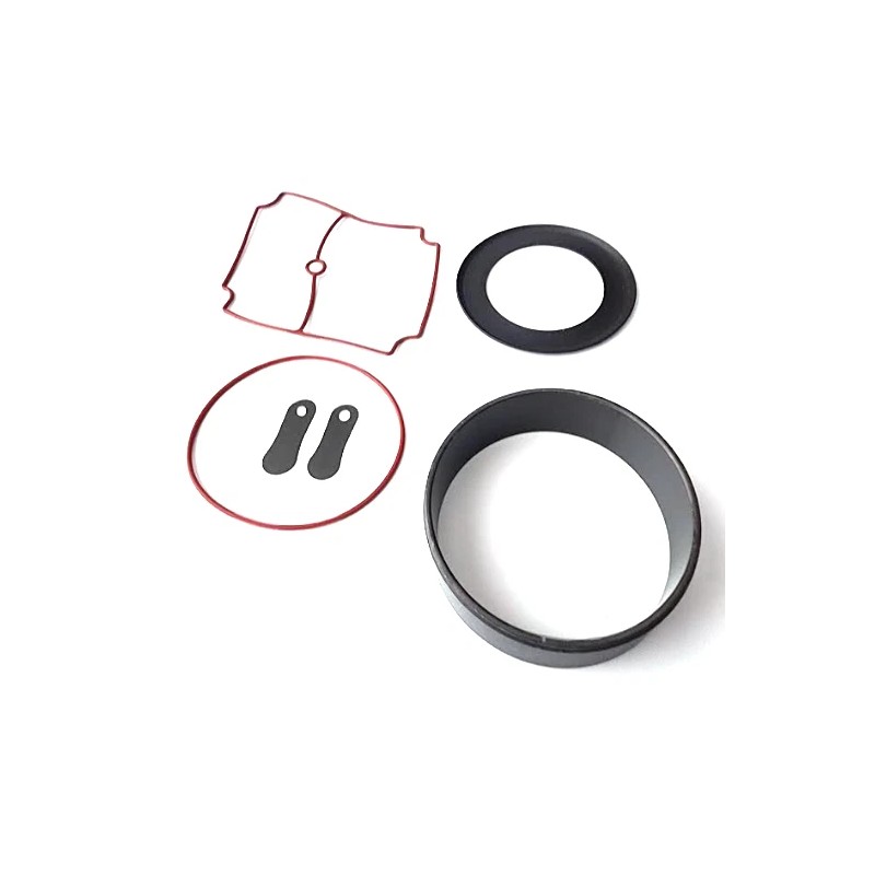 DIY Pond Aeration NEW EasyPro 1/4hp Compressor Pump Rebuild Kit