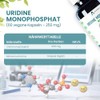 Uridine Monophosphate, 250 mg, High Dose, One Ingredient, 60 Vegan