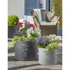 Scheurich Panzano Plastic Planter