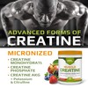 MFL Muscle Creatine | 3 Forms of Micronized Creatine |