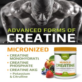 MFL Muscle Creatine | 3 Forms of Micronized Creatine | 10g | 0 Sugar | Sweetened with Stevia | All-Natural | 60 Servings (Fruit Punch)