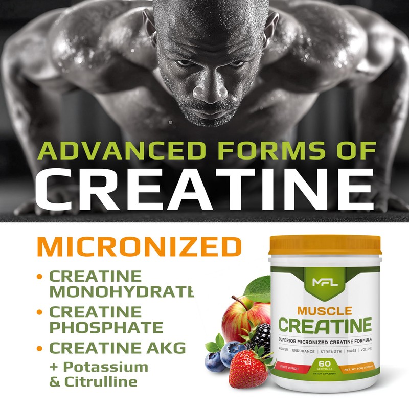 MFL Muscle Creatine | 3 Forms of Micronized Creatine |