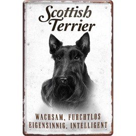 361 N / A Scottish Terrier Dog Letter 20 x 30 cm Decorative Saying Tin Sign