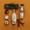 [DAENG GI MEO RI] Dlaesoo Pure Shampoo 400 ml/Hypoallergenic Anti
