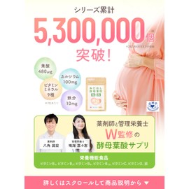 葉酸 480μg 妊娠 妊活 妊婦 60粒×1袋 (30日分) ベルタ BELTA 鉄 ビタミンD C B6 カルシウム ミネラル おためし酵母葉酸